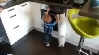 Кошка защищает малыша от горячей плиты