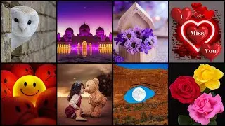 ❤️ Dp Pictures For Whatsapp | 💕 Dp Pic | 😍 Dp For Girls | 🔥 Dp Whatsapp