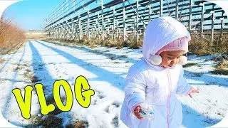 Жизнь в США: ВЛОГ ПОКУПКИ на рынке и вкусный УЖИН | February 3, 2019 VLOG