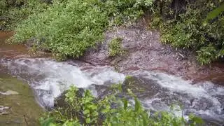 Ecossítio - Fontes Vermelhas
