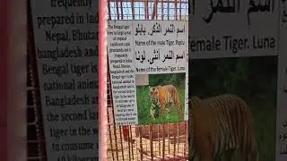 Al Noman Zoo Barka Oman
