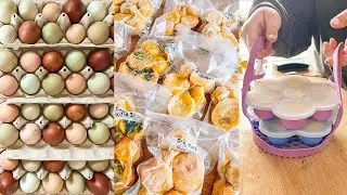 Preserving all those excess eggs!