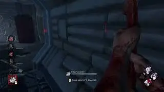 Getting back into dead by daylight