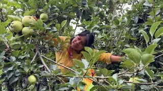 Cómo hacer un postre con la fruta más barata del pueblo