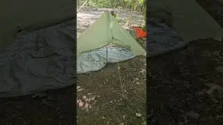 Camping in 97°F/36°C Weather