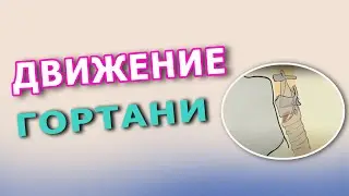 Движение гортани вверх-вниз
