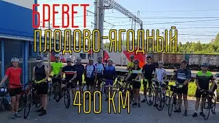 БРЕВЕТ ПЛОДОВО-ЯГОДНЫЙ 400 км / 29.06.2024