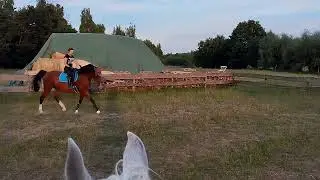 Cane 27 06 2024