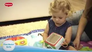 Baby's Development: Fine  Motor Skills