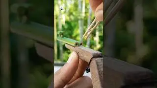 Mini bamboo Toys 