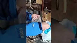 МОЙВА БЕЗ ЗАПАХА НА САДЖЕ #29 