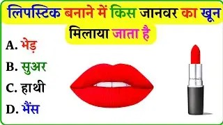 लिपस्टिक में किस जानवर का खून मिलाया जाता हैं ll Gk In Hindi ll General knowledge ll Gk Questions