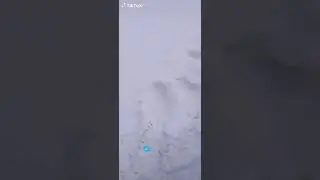 жадности таксистов не существует