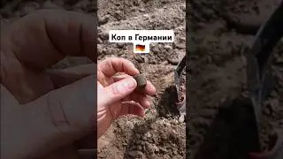Поиск монет на поле 