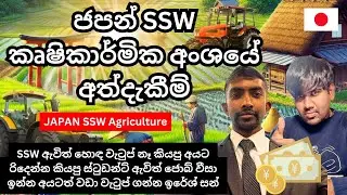 SSW ඇවිත් සුපිරි පඩියක් ගන්න හැටි | SSW Visa Agriculture | Japan work visa | Sinhala 