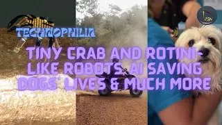 Technophilia | Tiny Crab and Rotini-like Robots, AI Saving Dogs’ Lives & Much More