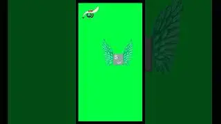 Flying keyboard letters with angel wings on green screen 
