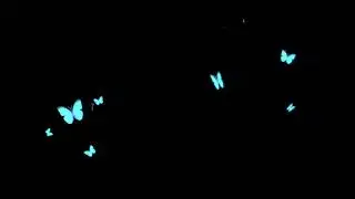 Devour Maxi Butterfly Overlay