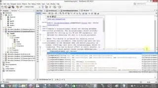 How to insert item into database table in JAVA using Netbeans