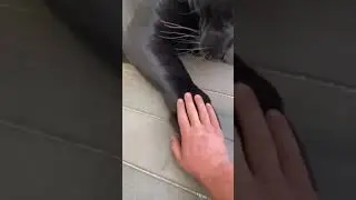when you have a dangures but #loyal and #amazing #friend #panther