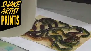 CANDY SNAKE PRINT