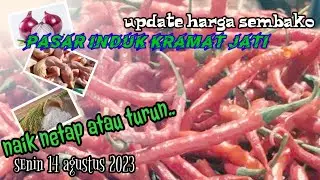 harga cabe hari ini | harga sembako hari ini senin 14 Agustus   2023