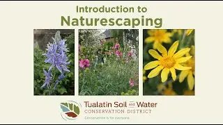 Naturescaping: Basics Virtual Workshop