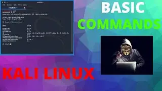 Basic Kali Linux Commands In Hindi!!! That Hacker should Know.