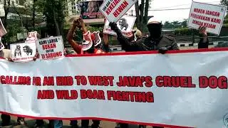 A protest calling for urgent action to be taken to stop wild boar and dog fighting