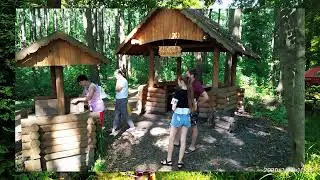 Лесное ожерелье