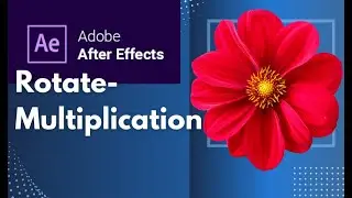 How to apply rotate-multiplication expression in After Effects . #rotate