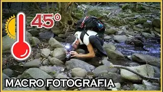 LE GIORNATE PIÙ SECCHE DEL 2021 - MACRO FOTOGRAFIA
