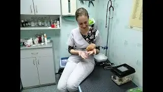 О здоровье вашего хомяка - беседуем с лучшим ратологом Украины Александрой Олеговной Ваниной.