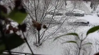 Зима.Первый снег.Американка и английский