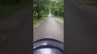 Jungle k bhi apne alag mazze hai 😍😍😍