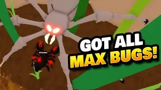 New Max Bug & Boss in Little World Roblox