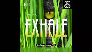 Skillshuut - Exhale (432 Hertz Mix) - Remaster by SoundWoozla