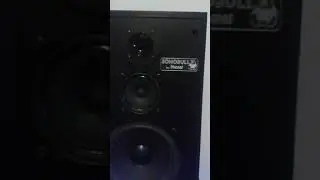 Magnat Sonobull 10
