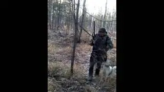 Работа ЗЛС по белке 05.10.14