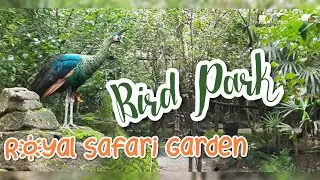 REVIEW Bird Park Royal Safari Garden Hotel