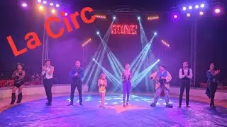 La Circ cu Maria,Matteo și Rebecca! Animale sălbatice,maimuțe,lamă,tigru,leu! Partea a doua