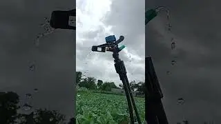 Nature 🥰#shortvideo #trending #shortsvideo #viral #viralvideo #reels #trend #india
