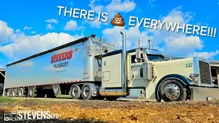 Ain't That Some S#!T !! Unloading Woodchips Inside A Barn Quickly Filling With LIQUID COW POOP !!