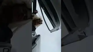 😂