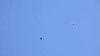 22.05.2017 тройка оторвалась.
