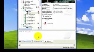 Wie konfiguriere ich Teamspeak 3?
