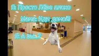 Как я попала в больницу🐱часть 9 сезон 1 #мем #вреееек идея: @miakotikoman