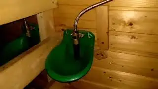 avtopoilka qo`y va echki uchun