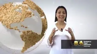Importancia de la Revisoría Fiscal
