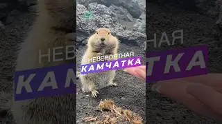 Невероятная Камчатка 